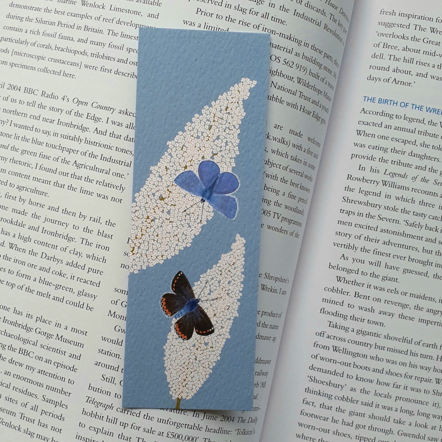 Common Blue Butterflies Bookmark