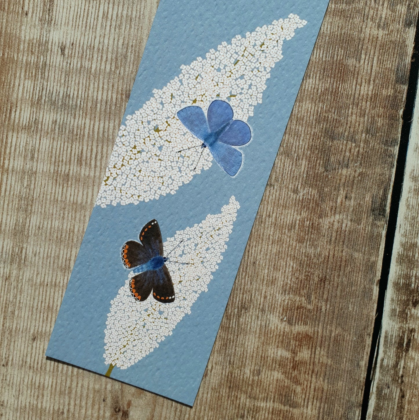 Common Blue Butterflies Bookmark