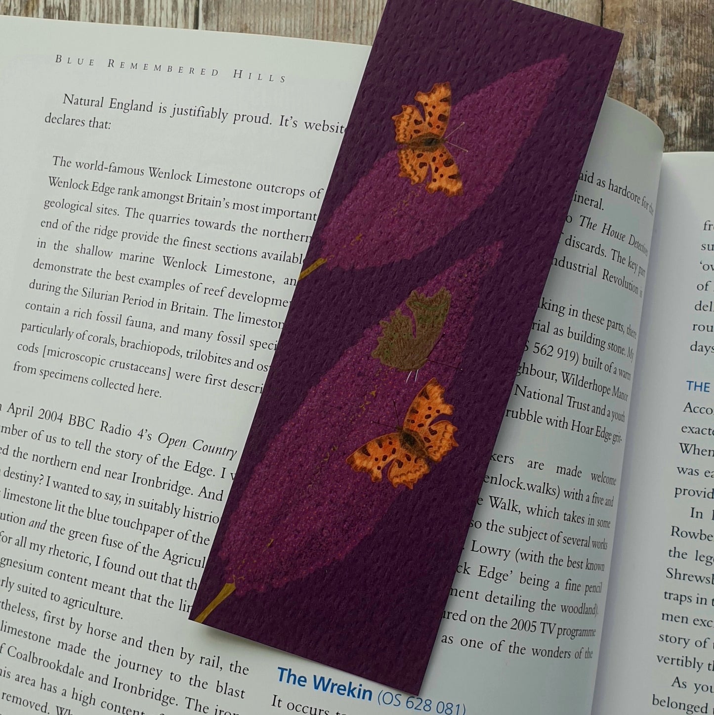 Comma Butterflies Bookmark