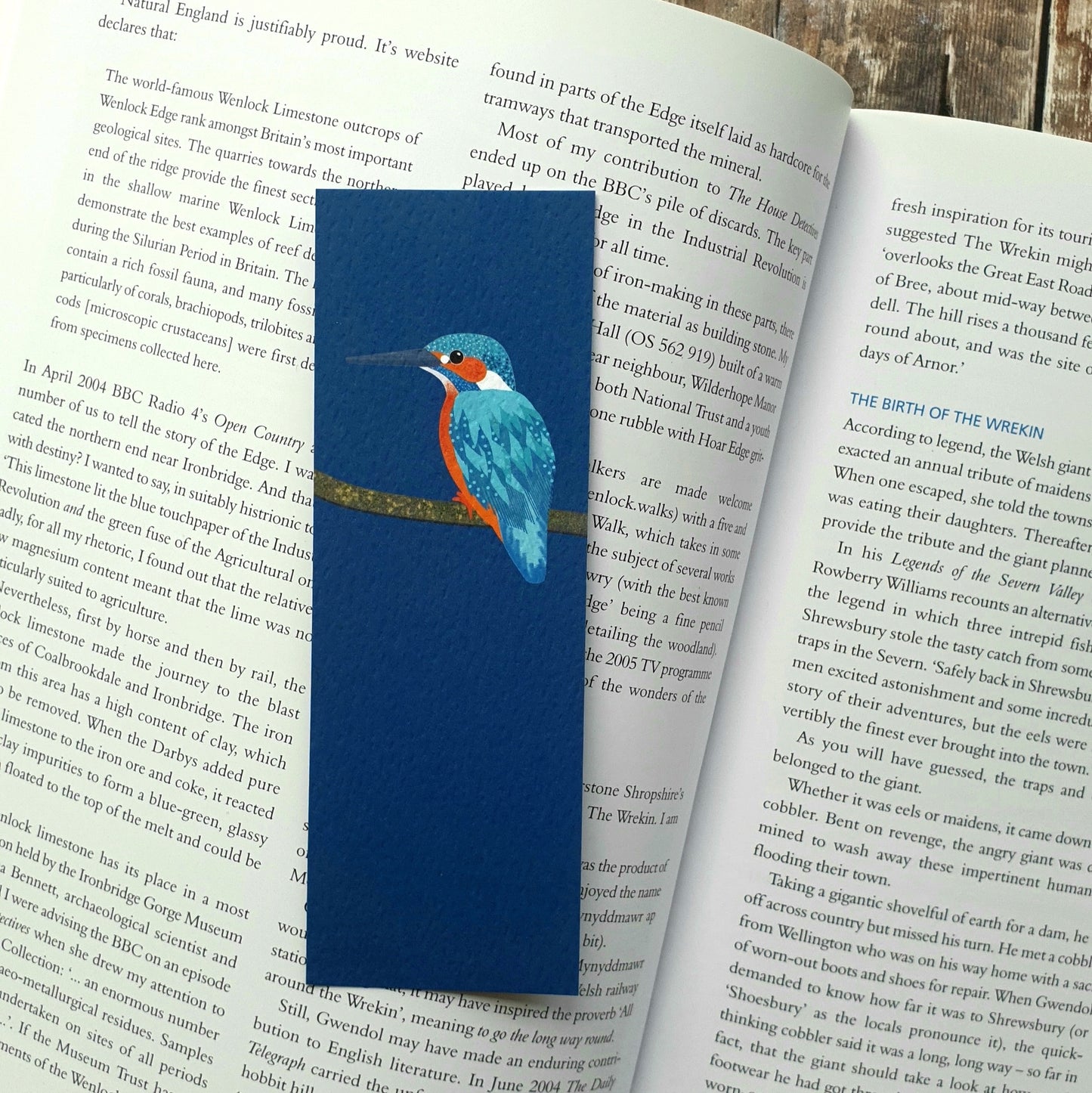 Kingfisher Bookmark
