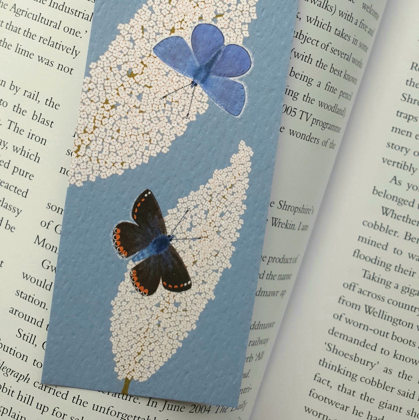 Common Blue Butterflies Bookmark