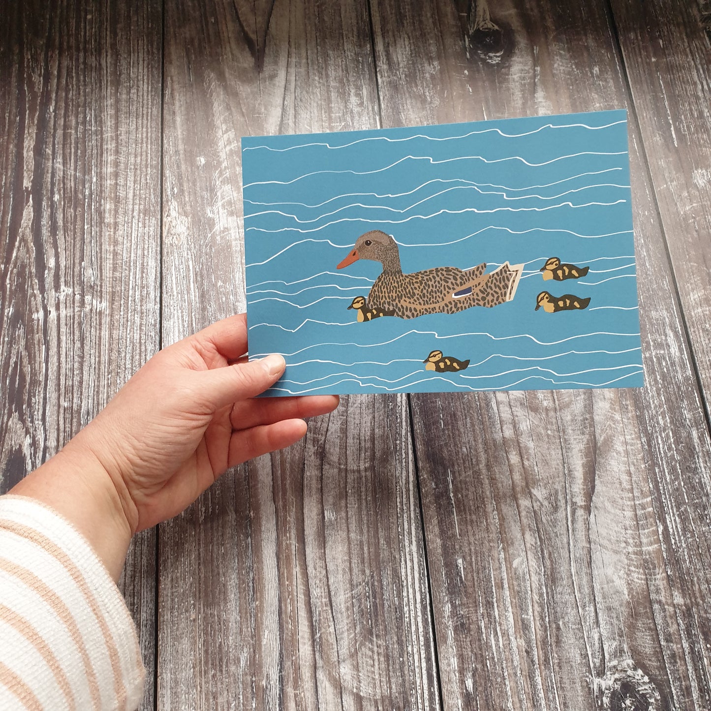 Mallard Family Art Print